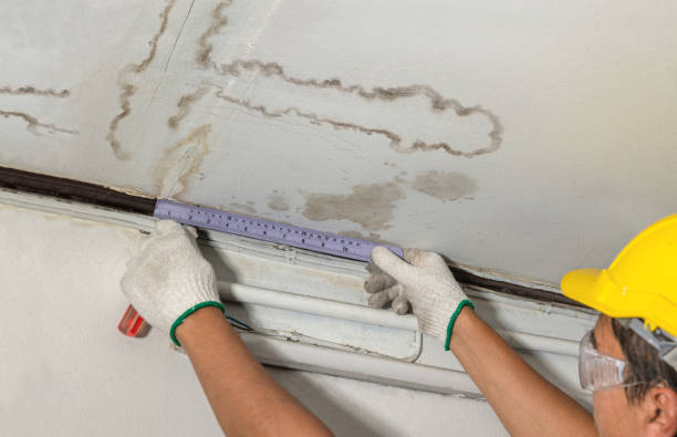 Reliable Burst Pipe Cleanup contractor in Kittredge, CO by Water Damage Irwin